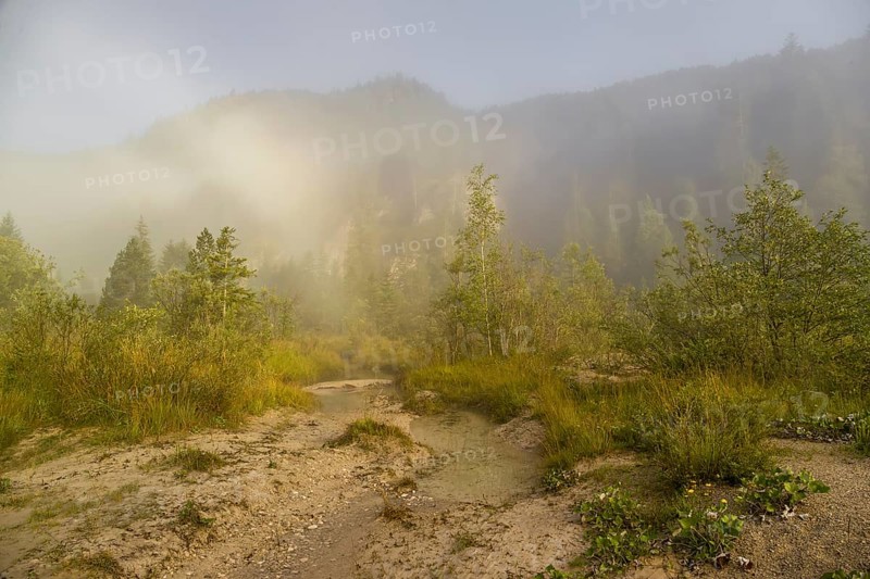 Isar valley nature conservancy area. The wild Isar river flows through its gravel bed past driftwood and entrained trees and bushes . Sunrise with dense fog showing an arc of mist, a rare weather phenomenon