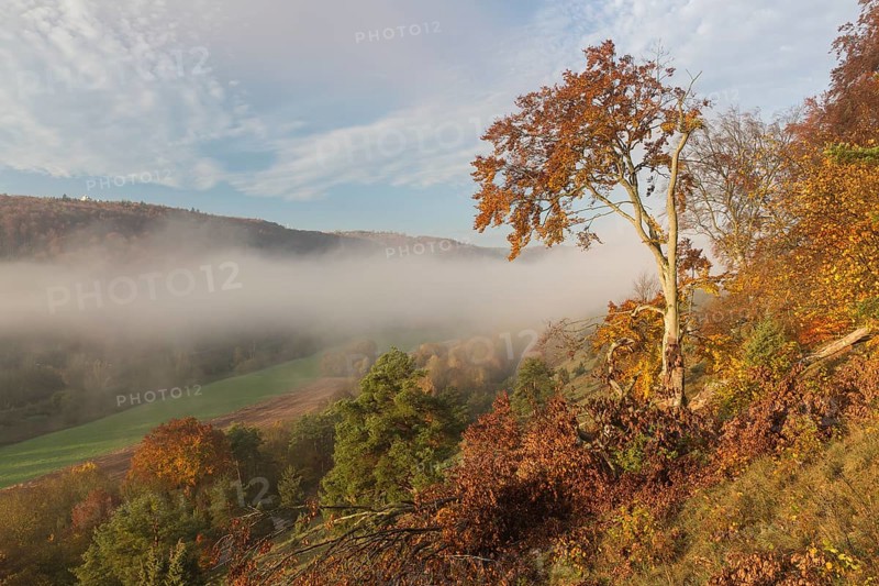 Sunrise close to the 12 Apostels rock formation in the Altmühl valley nature park close to Solnhofen in Bavaria, Germany. Some fog and trees in autumn colors