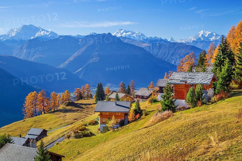 Autumn landscape with chalets above the Rhone valley and panorama of Fletschhorn 3985m, Dom 4545m, Matterhorn 4478m and Weisshorn 4505m, Riederalp, Goms, Rhone valley, Upper Valais, Valais, Switzerland, Europe
