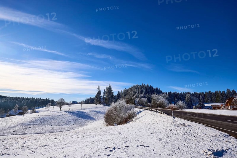 Winter landscape, forest, snow, country road, deep blue sky with veil clouds, Titisee-Neustadt, Black Forest, Breisgau-Hochschwarzwald district, Baden-Württemberg, Germany, Europe