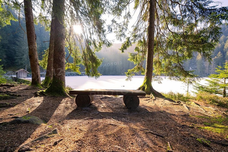 A shady seat in the forest with a view of a lake, soft sunlight filters through the trees, Glaswaldsee, Bad Rippoldsau-Schapbach, Wolfach district, Black Forest, Germany, Europe