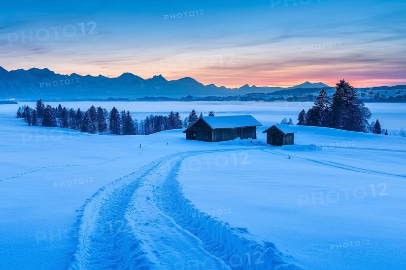 Sunset in the Allgäu in winter, view at sunset over the Forggensee with fog, tractor track in deep snow leads to two barns, behind the Allgäu Alps, Schwangau, Allgäu, Bavaria, Germany, Europe