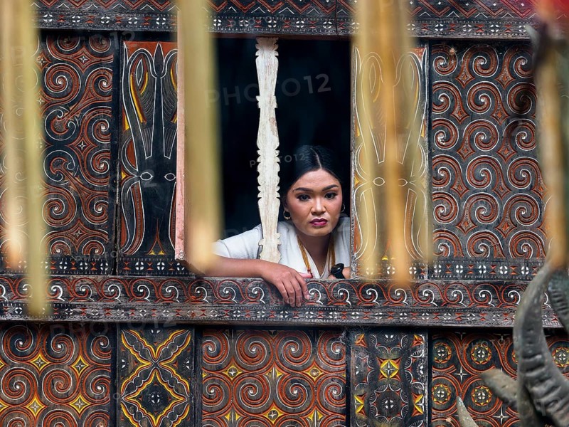 Woman dreamily at window, colourful old wooden house with carvings, Tana Toraja, Sulawesi, Indonesia, Asia