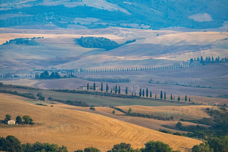 Typical Tuscan landscape in Val d'Orcia with hills, trees, fields, farmhouses and cypresses in summer, Tuscany, Italy, Europe