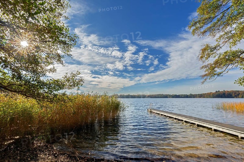 Wooden jetty at lake Schaalsee in autumn, fall, Biosphärenreservat Schaalsee, Schleswig-Holstein, Germany, Europe