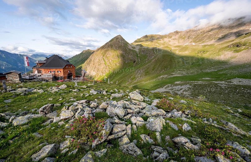 Mountain hut Lasörlinghütte in the evening light, mountain landscape with alpine roses, Lasörlinggruppe, Hohe Tauern, East Tyrol, Tyrol, Austria, Europe