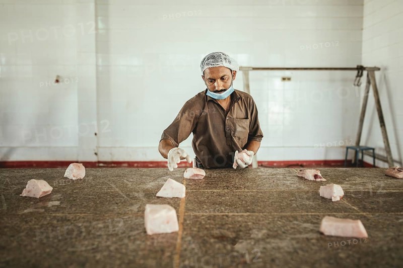 Cutting up a slaughtered dromedary (camelus dromedarius), camel slaughter, Salalah slaughterhouse, Dhofar, Oman, Asia