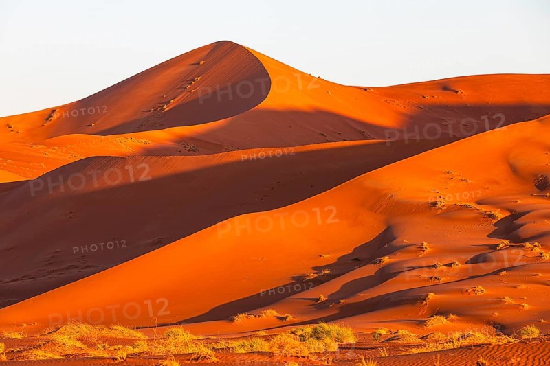 Wind-sculpted curved sand dunes in the evening light, in the Rub al Khali desert, Dhofar province, Arabian Peninsula, Sultanate of Oman