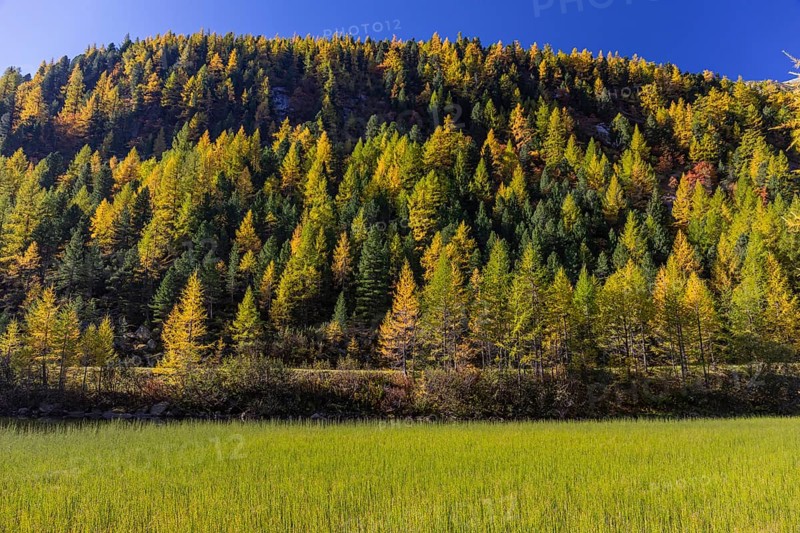 Little pond of the Malta river with a mountain forest in fall foliage on a bright sunny morning. Seen from the Malta Hochalm road. Carithia, Austria, Europe