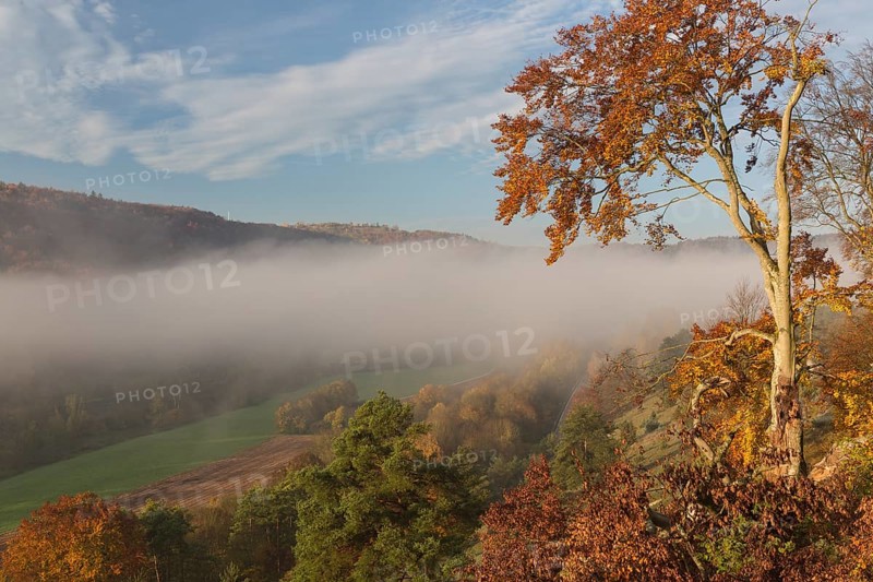 Sunrise close to the 12 Apostels rock formation in the Altmühl valley nature park close to Solnhofen in Bavaria, Germany. Some fog and trees in autumn colors