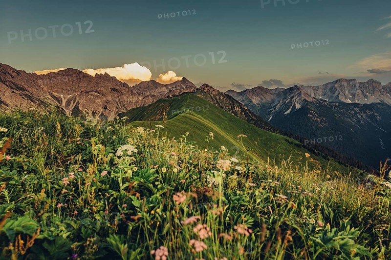Hiking tour on the Hönig mountain in the Lechtal valley near Berwang in Tyrol, Austria, Europe