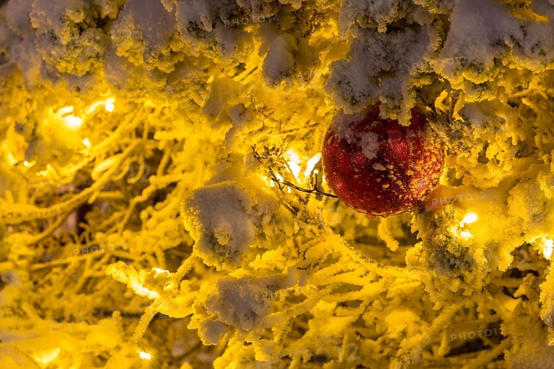 Red ball between snow-covered branches illuminated with fairy lights, still life