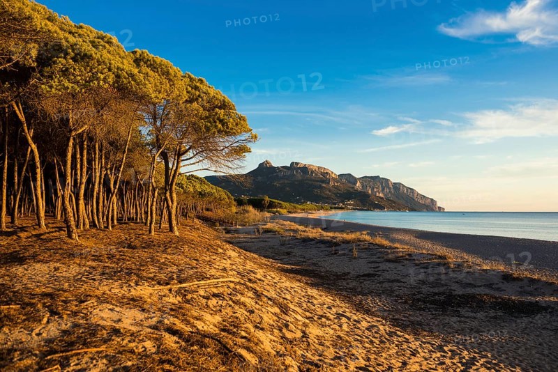 Lonely sandy beach and pine forest, Spiaggia di Isula Manna, sunrise, Santa Maria Navarrese, Gulf of Orosei National Park, Baunei, Nuoro, Sardinia, Italy, Europe