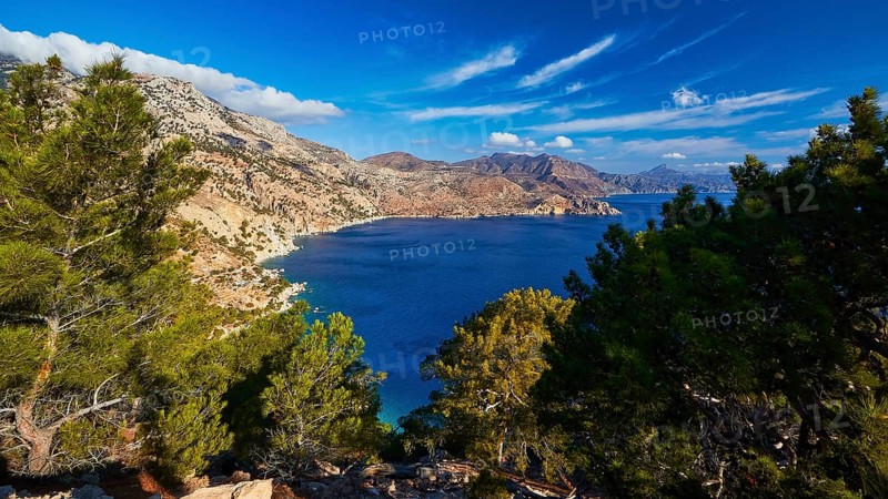 Wide view of the sea with mountains in the background and dense pine trees in the foreground under a clear sky, morning light, sunrise, coastal road, east coast, Karpathos, Dodecanese, Greek Islands, Greece, Europe