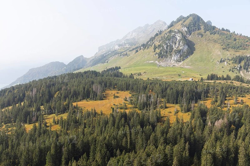 View of the Hinter Höhi moorland in autumn colours, in the background the mountain range with the Speer, Amden, St.Gallen, Switzerland, Europe