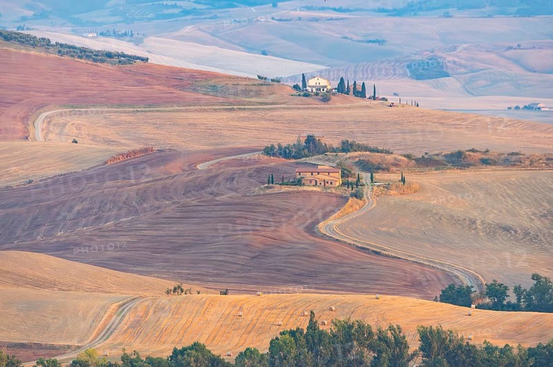 Typical Tuscan landscape in Val d'Orcia with hills, trees, fields, cypresses and farm road in autumn, sunset, gladiator film location, San Quirico d'Orcia, Val d'Orcia, Orcia Valley, UNESCO World Heritage Site, Siena Province, Tuscany, Italy, Europe