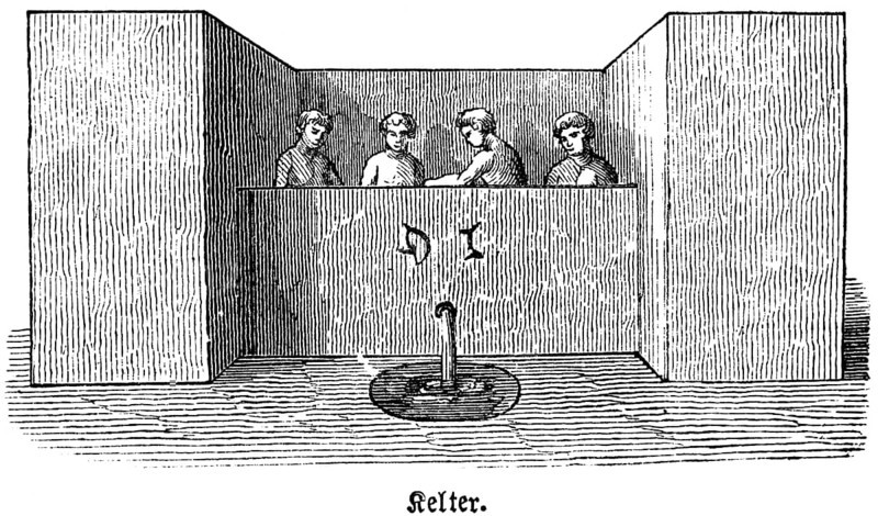 Four slaves treading grapes to make juice, wine press made of stone or wood, pressing, wine, agriculture, product, bible, historical illustration, Biblisches Handwörterbuch 1862