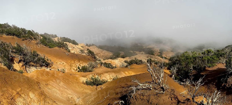 Clouds of fog, yellow earth, erosion, near Arguamul, La Gomera, Canary Islands, Spain, Europe