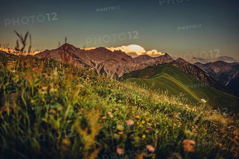 Hiking tour on the Hönig mountain in the Lechtal valley near Berwang in Tyrol, Austria, Europe