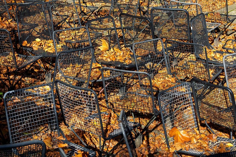 Metal wire frame chairs standing in autumn leaves, Baden-Württemberg, Germany, Europe