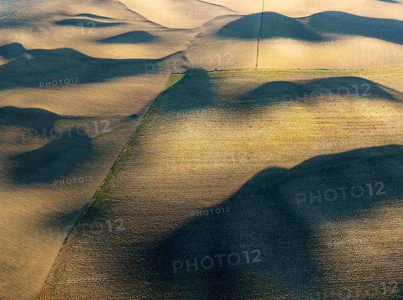 Farmland in the Campiña Cordobesa, the fertile rural area south of the town of Córdoba. Aerial view. Drone shot. Córdoba province, Andalusia, Spain, Europe