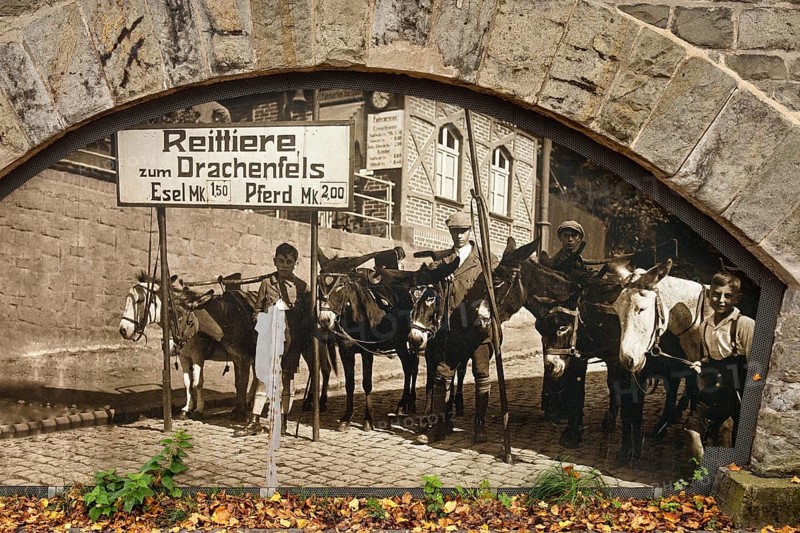 Old photo on the Eselsweg, the ascent to Drachenfels, Königswinter, Siebengebirge, North Rhine-Westphalia, Germany, Europe