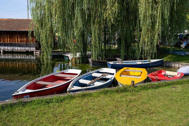 Rowing boats on the shore of Staffelsee, Seehausen, Upper Bavaria, Bavaria, Germany, Europe