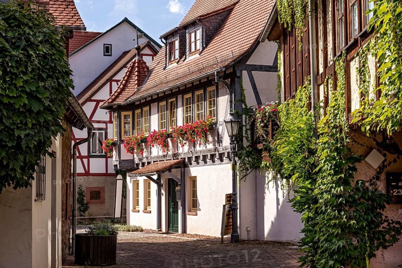 Magnificent restored half-timbered house, guest house at the Bienentor, decorated with geraniums, narrow alley, historic old town, Michelstadt, Odenwald, Hesse, Germany, Europe