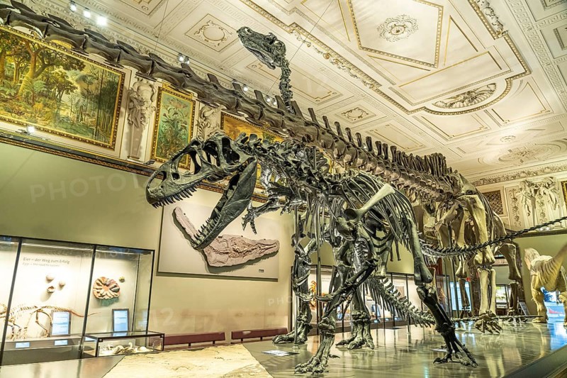 Dinosaur skeleton in the dinosaur hall of the Natural History Museum Vienna, Austria, riEurope, Europe