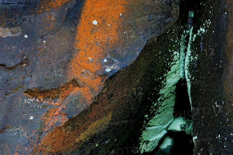 Rock covered with orange and green lichen, Mykines, Útoyggjar, Faroe Islands, Denmark, Europe