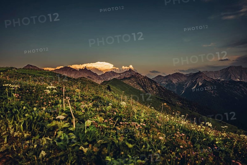Hiking tour on the Hönig mountain in the Lechtal valley near Berwang in Tyrol, Austria, Europe