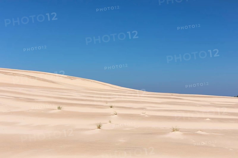 Lacka Dune on a sunny day with a blue sky in the Slowinski National Park, northern Poland on the Baltic Sea coast. 42 metres high and moving at a rate of 3 to 10 metres per year
