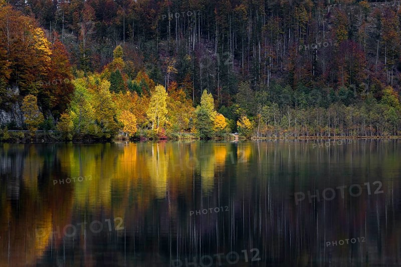 Lake Almsee in autumn with a forest reflected in the lake