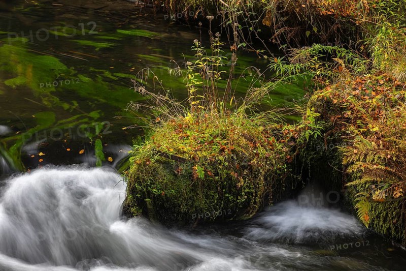 Flowing water with ferns and rocks in the Edmunds Gorge in autumn. River Kamnitz, Hrensko, Ustecky kraj, Czech Republic, Europe