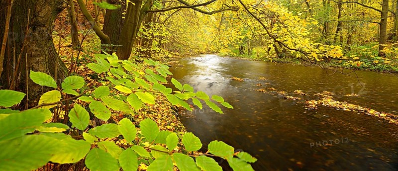 Autumn on the Schwarza river in the Schwarzatal valley between Bad Blankenburg and Schwarzburg, Thuringia, Germany, Europe