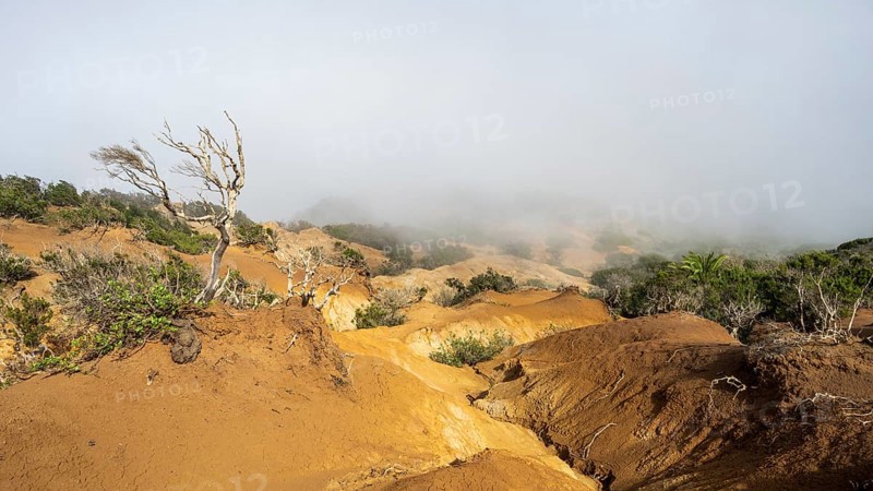 Clouds of fog, yellow earth, erosion, near Arguamul, La Gomera, Canary Islands, Spain, Europe