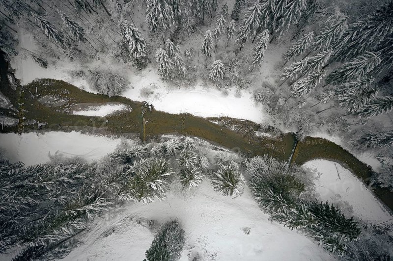 Gießenbach, winter, snow-covered trees, drone shot, without horizon, Kiefersfelden, Upper Bavaria, Bavaria, Germany, Europe