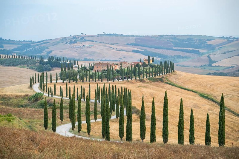 Typical Tuscan landscape in Crete Senesi with hills, trees, fields, cypresses and farm road in autumn, sunrise, Agriturismo Baccoleno, UNESCO World Heritage Site, Siena Province, Tuscany, Italy, Europe