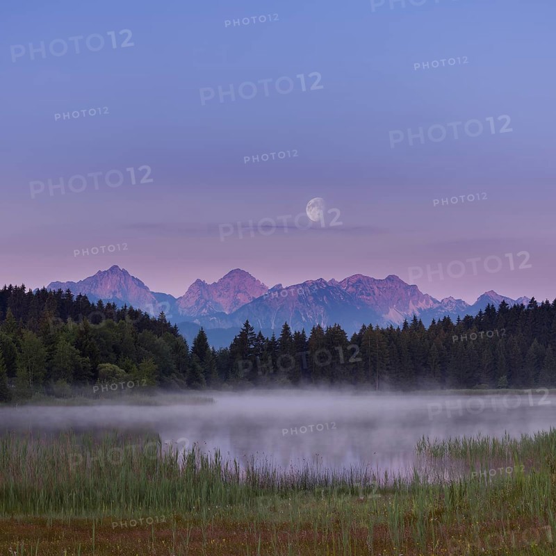 Quiet lake with mountain view in the morning mist, surrounded by forest, moon visible, Hegratsrieder See near Füssen, Ostallgäu, Allgäu, Swabia, Upper Bavaria, Bavaria, Germany, Europe