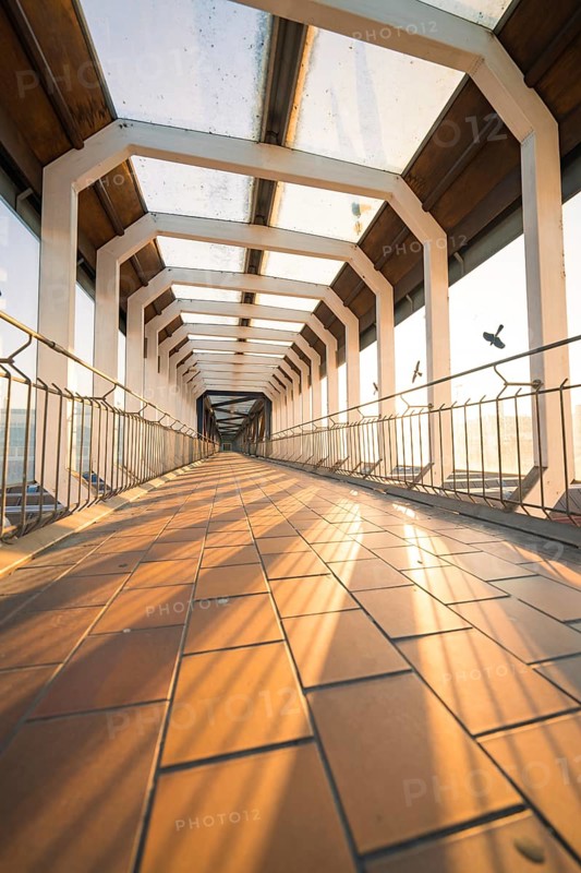 View through a sunny glass corridor with geometric design and flying birds, Sindelfingen railway station, Böblingen district, Germany, Europe