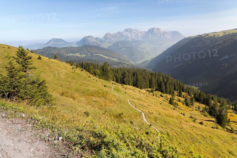 Leistbach valley, in the background the mountains with the Säntis, St. Gallen, Switzerland, Europe