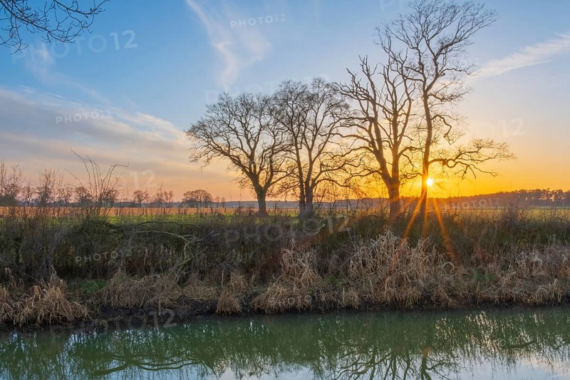 View across a ditch to the silhouettes of non-leafy trees at sunset, Kirchlinteln, Verden, Aller Leine Valley, Lower Saxony, Germany, Europe