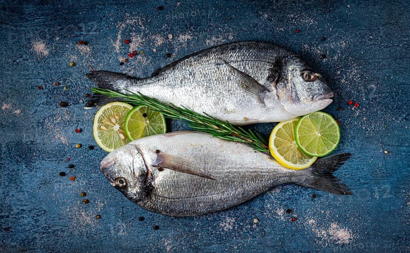Fresh, raw dorado fish, on a dark blue background, top view, two pieces, no people