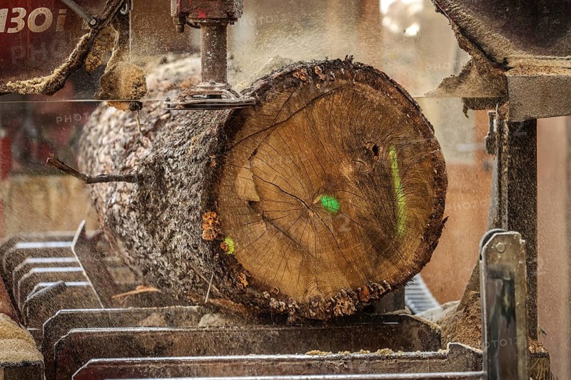 Solingen, North Rhine-Westphalia, Germany - Oak logs on the bandsaw in the sawmill, construction timber is scarce and expensive, carpentry and joinery companies are struggling with rapidly rising raw timber prices in times of the coronavirus crisis, and large quantities of logs are being exported to China and the USA