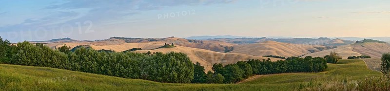 Typical Tuscan landscape in Crete Senesi with hills, trees, fields, cypresses and farm road in summer, Tuscany, Italy, Europe