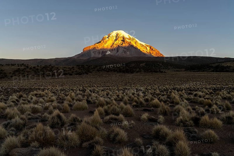 Nevado Sajama at sunset, snow-capped volcano, puna vegetation, Sajama National Park, Curahuara de Carangas, Departamento Oruro, Bolivia, South America