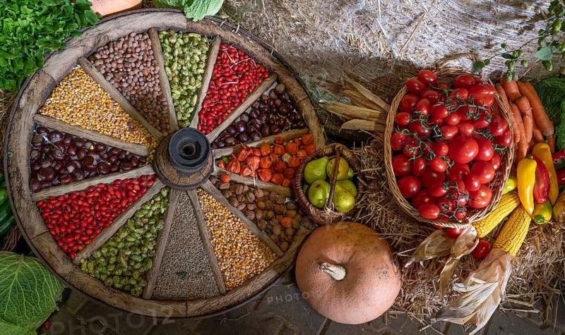 Fruit decorated in and around an old wooden spoked wheel at a harvest festival, Franconia, Bavaria, Germany, Europe