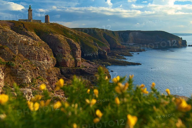 Coastal landscape with cliffs and sea, a lighthouse at Cap Frehel, gorse in the foreground, Cap Frehel, Cotes-d Armor, Brittany, France, Europe
