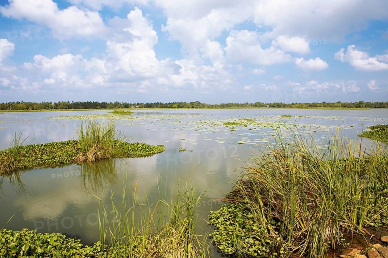 Debara Wewa Reservoir, Tissamaharama, Southern Province, Sri Lanka, Asia