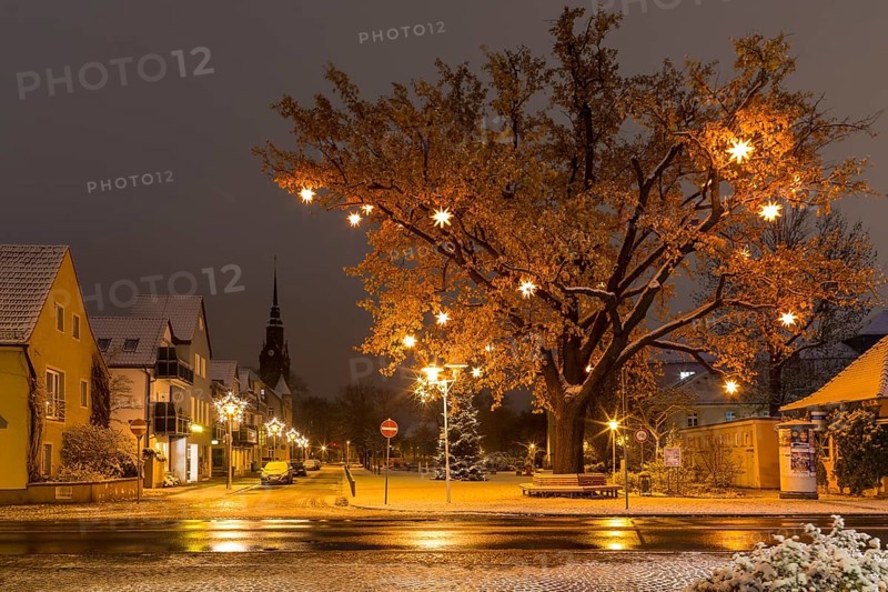 Oak tree on Wettinplatz with Herrnhut stars, star tree, in the background the New Church of Peter and Paul, Coswig, Saxony, Germany, Europe
